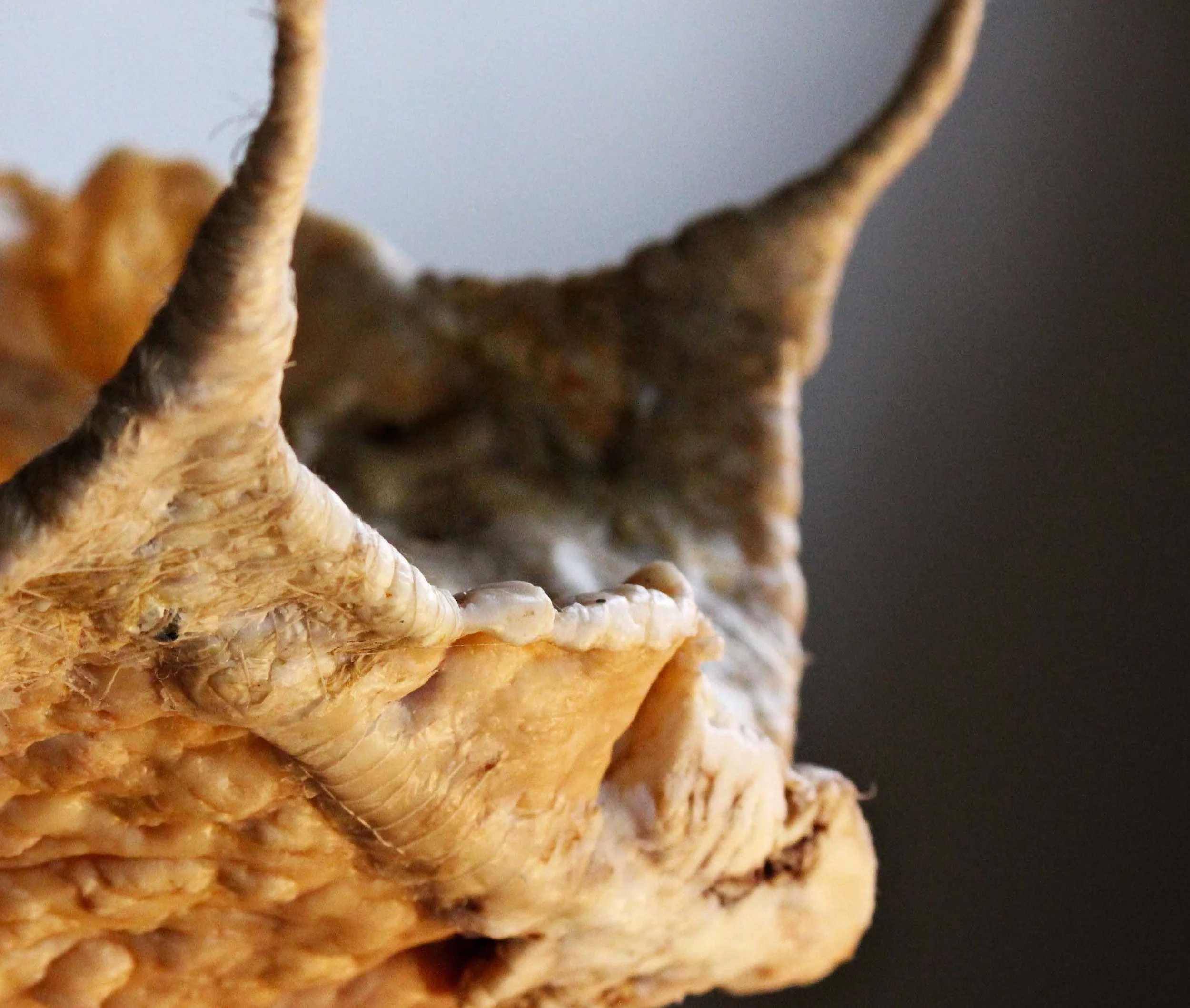 SIKHO SIYOTULA-SIEGEMUND: Remainder y, 2011. Caul fat, thread, rope and wire, c. 210 x 120 x 120 cm. DETAIL.