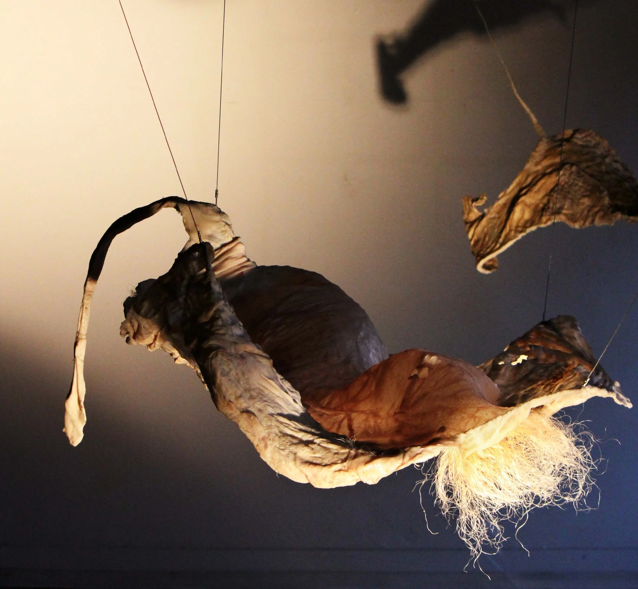 SIKHO SIYOTULA-SIEGEMUND: Remainder 004, 2011. Caul fat, thread, rope and wire, c. 130 x 150 x 120 x 60 cm. 