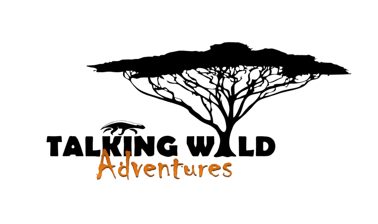 Talking Wild Adventures
