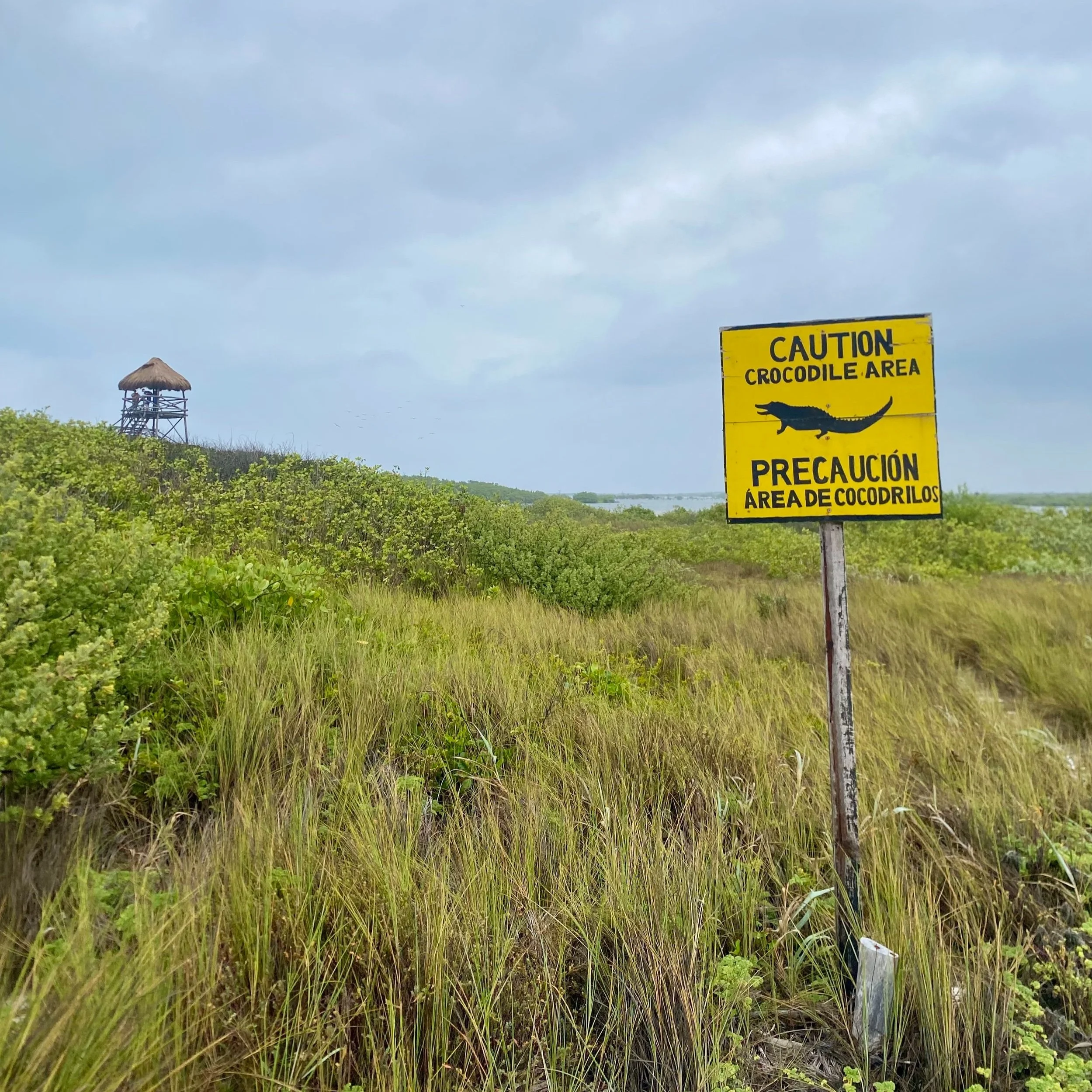5 Dinge, die du vor deiner Reise nach Yucatán - Mexiko wissen solltest 