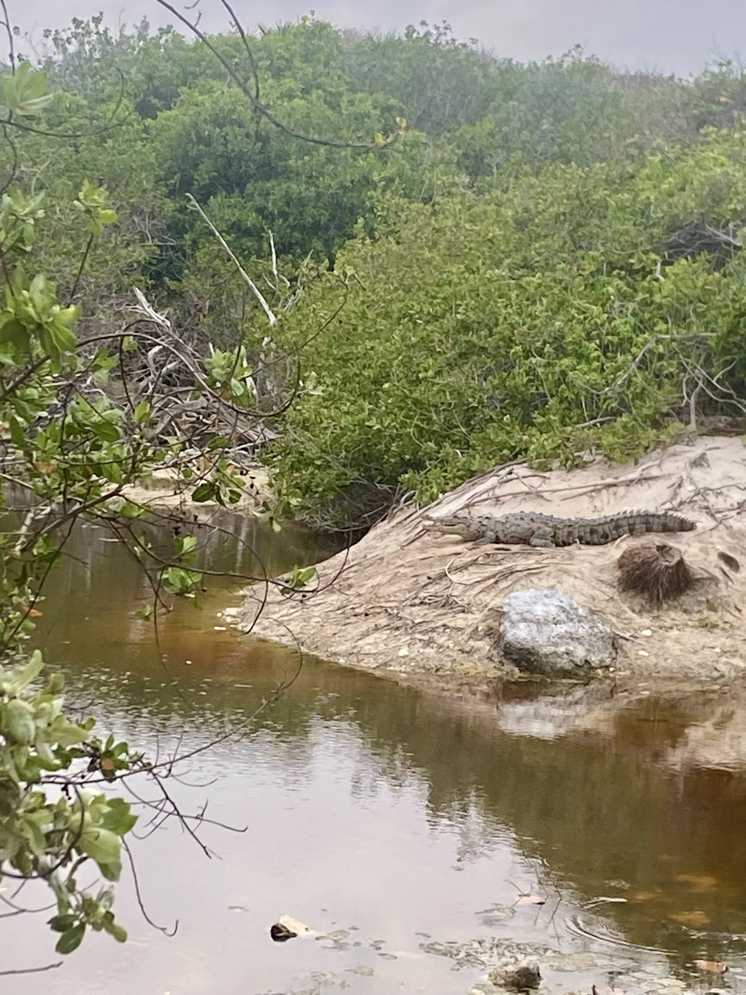 Playa Punta Morena – Cozumel