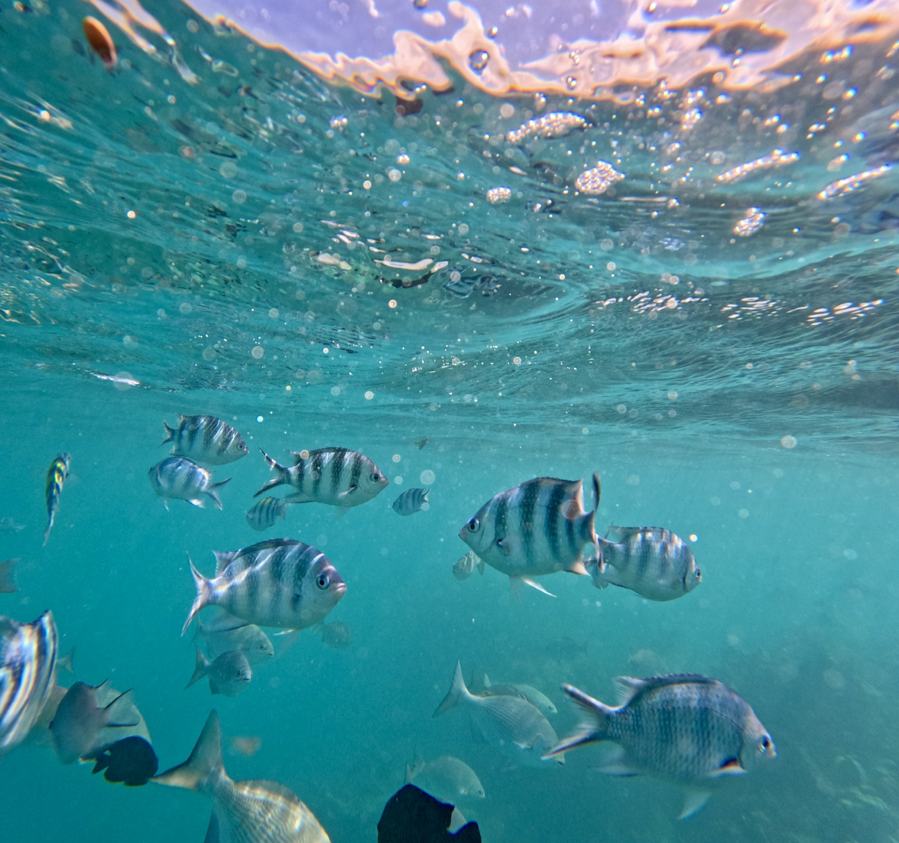 Screenshot 2026-02-01 at 16.25.14.png