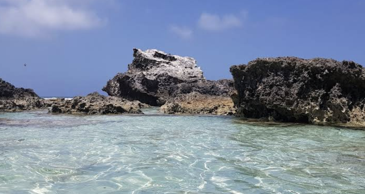 Screenshot 2026-02-01 at 16.26.37.png