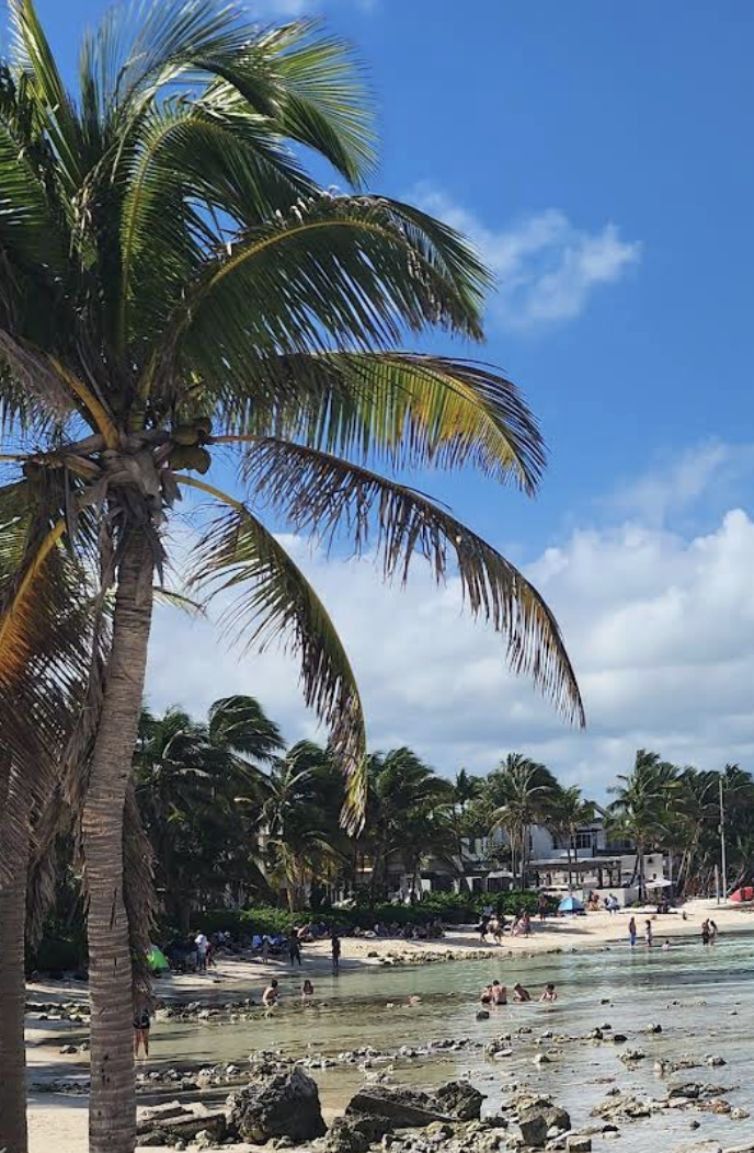 Screenshot 2026-02-01 at 16.27.22.png