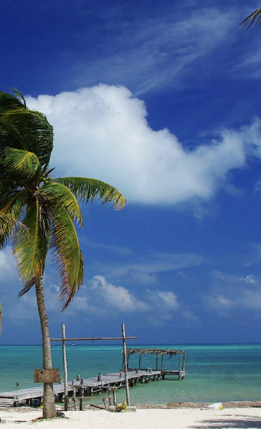 Screenshot 2026-02-01 at 16.31.37.png