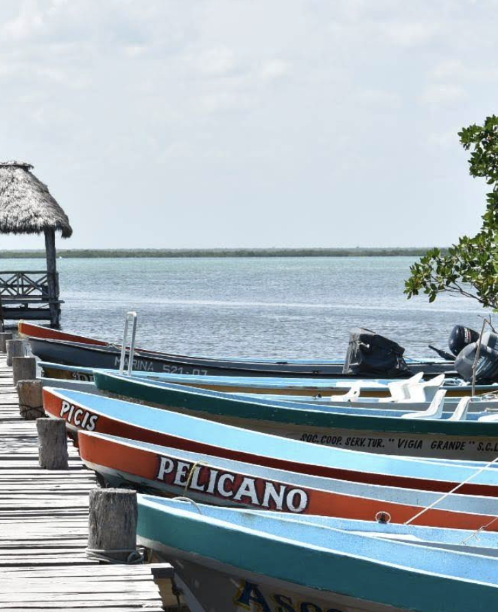 Screenshot 2026-02-01 at 16.30.03.png