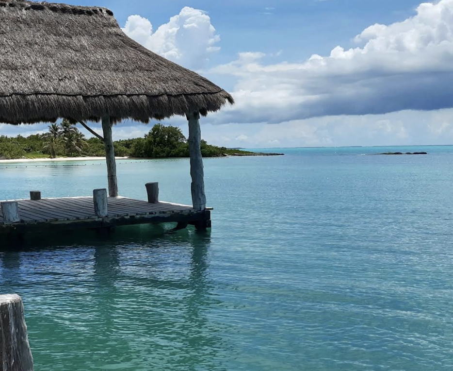 Screenshot 2026-02-01 at 16.40.36.png