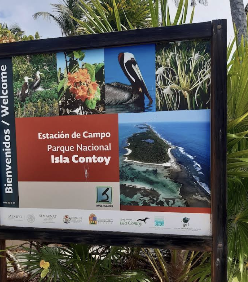 Screenshot 2026-02-01 at 16.40.11.png