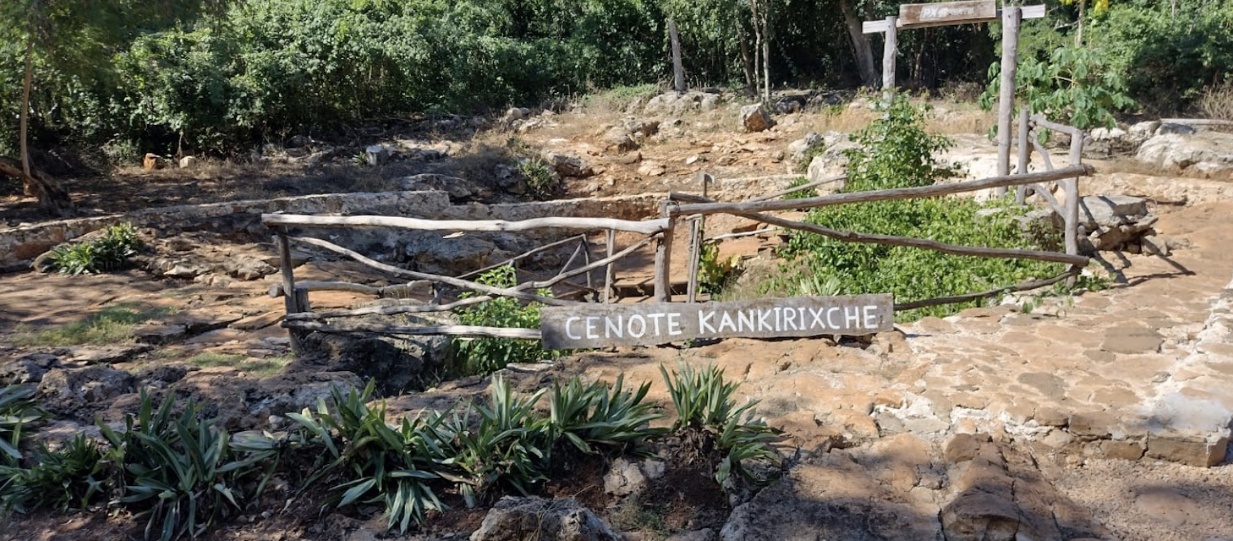 Die atemberaubende Cenote Kankirixche in Yucatán – ein verstecktes Juwel mit kristallklarem Wasser, beeindruckenden Felsformationen und magischer Atmosphäre.
