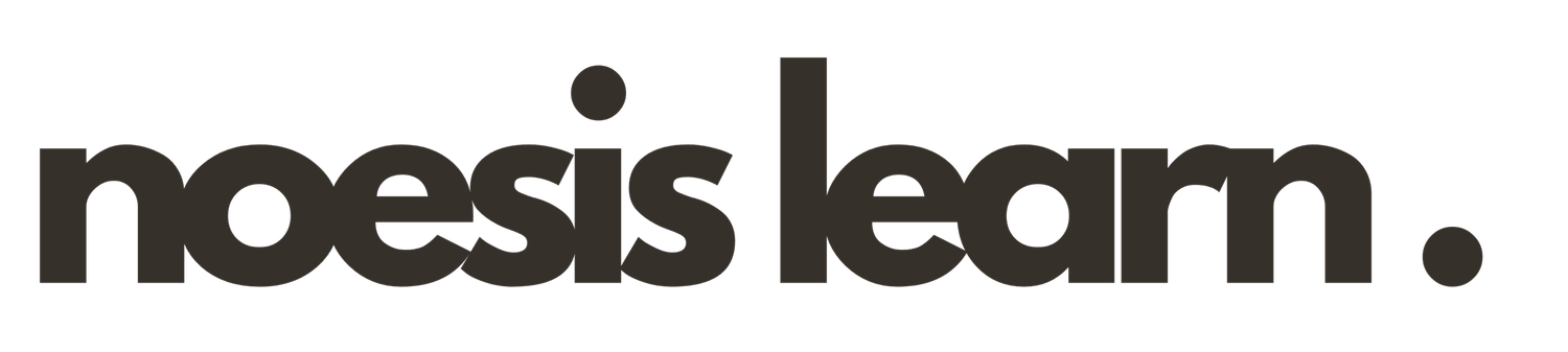noesis learn.