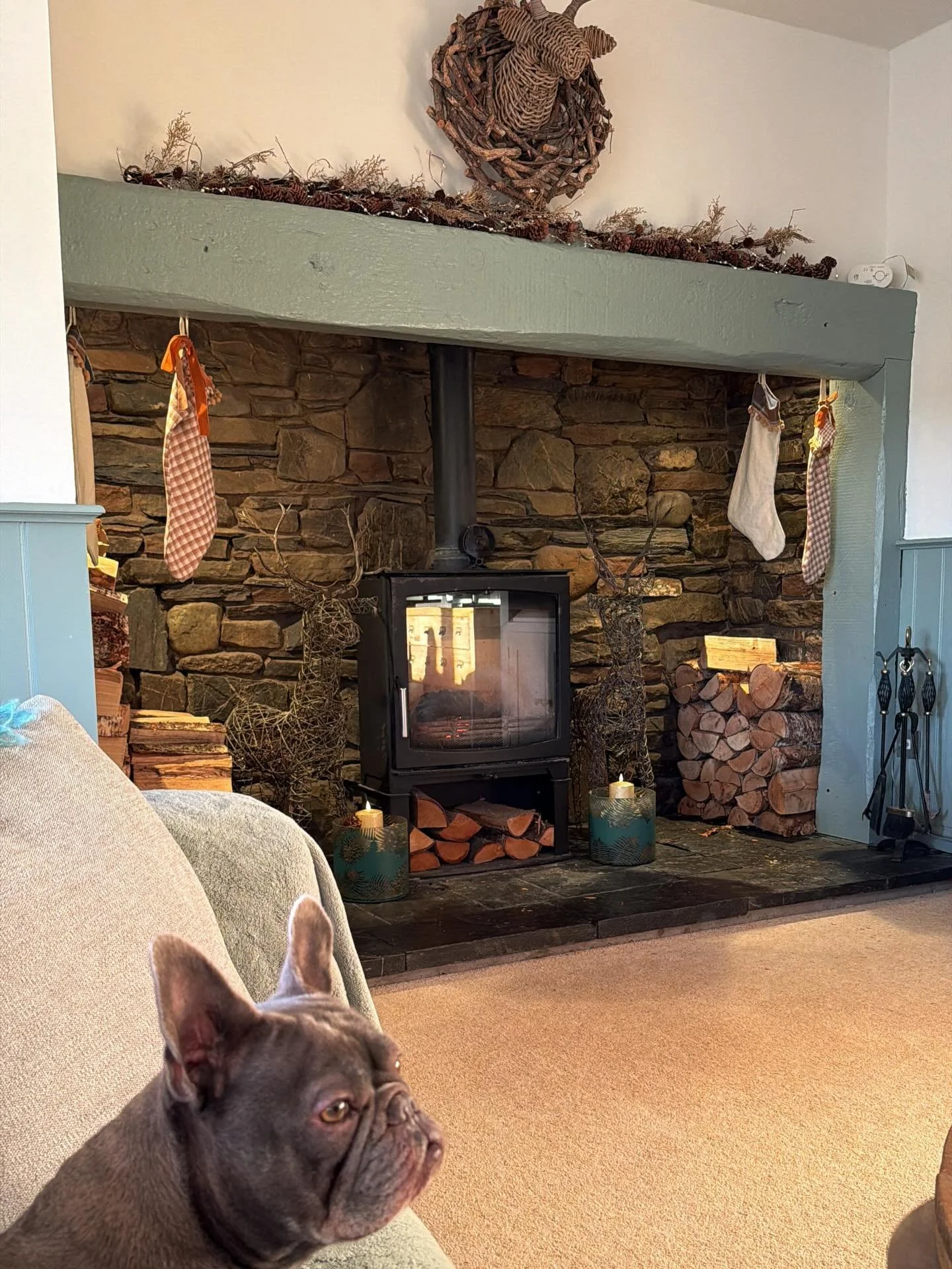 Xmas photo dump. Lots of food, drink, dogs, and a full house ❤️