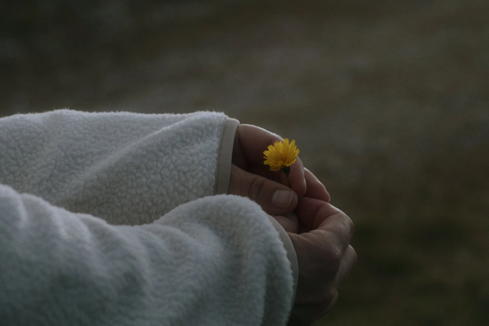 Still 2024-11-10 181323_1.12.1.jpg