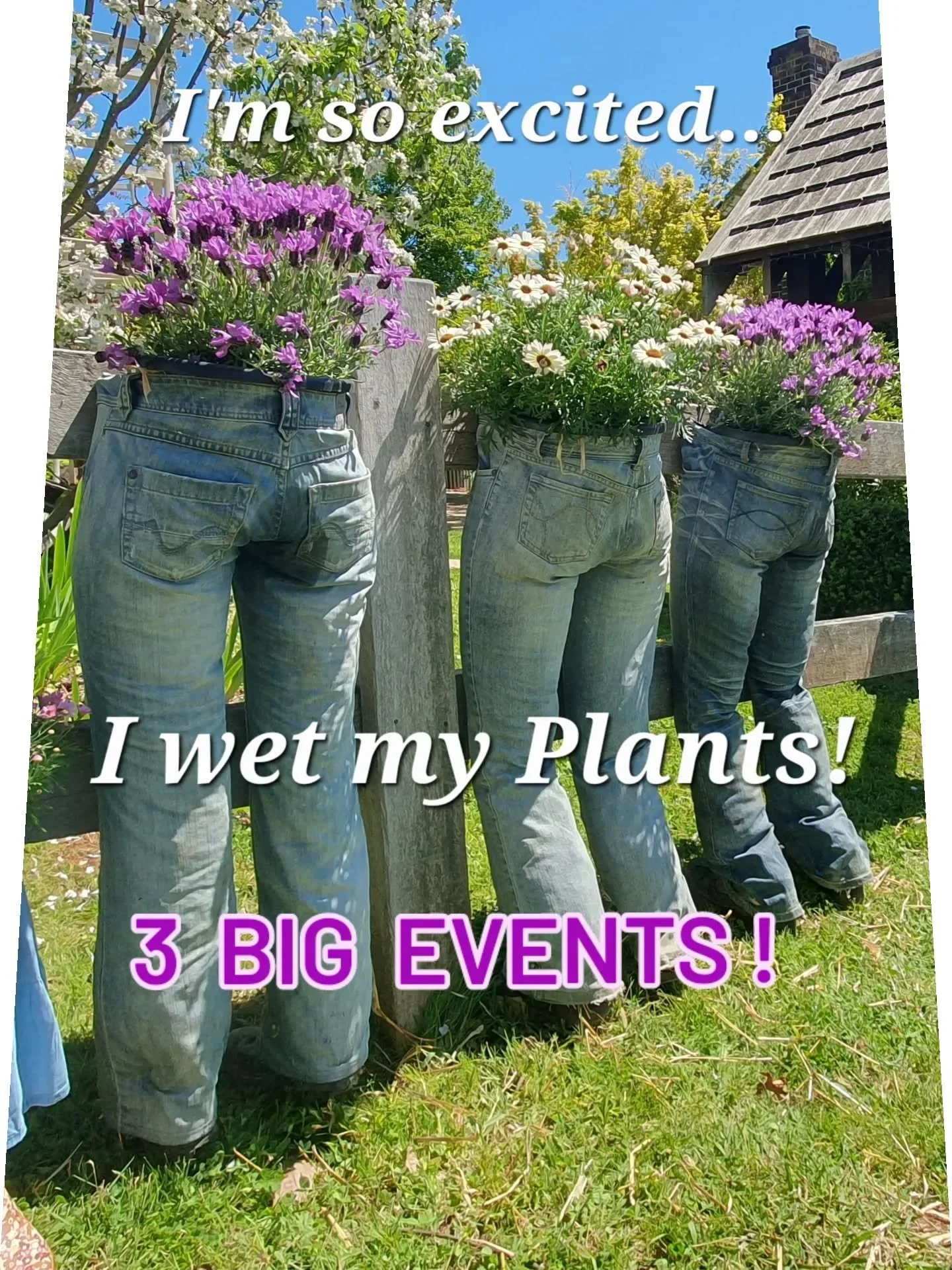 Too much happening, on one weekend...!
on the 25th & 26th Oct (this weekend coming!), we have;
• Alexandra & District Open Gardens 🌷
• Great Tarmac Rally 🚘
• Comedy in the Vines📣
It's all happening in and around #Marysville