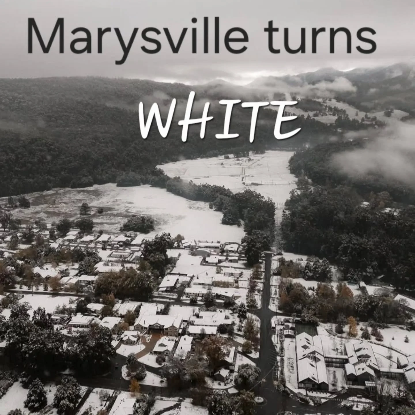 When the whole town turns ❄️WHITE ❄️ and becomes a #winterwonderland❄️ This might happen just once a year in #Marysville and our guests at #ScenicMarysville are the lucky onesthis time ☃️ Thanks for the chilly pics @dbaylisswhite and Dooly too.
Can't