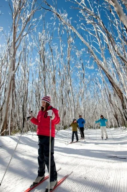 Skiing Make Mountain