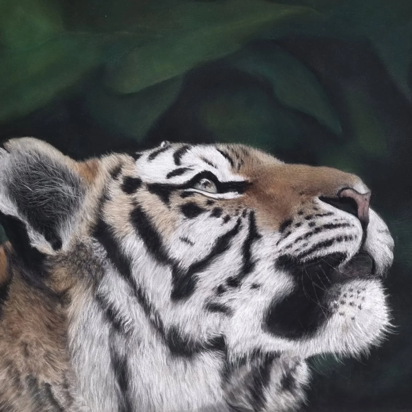 Happy #internationaltigerday! 

I vow, on this international tiger day,  that I will one day finish this tiger piece 🙈 poor tiger keeps getting set aside!  And then I started another one before finishing the first 🙄...one day tiger, one day 🐅🐯🐅