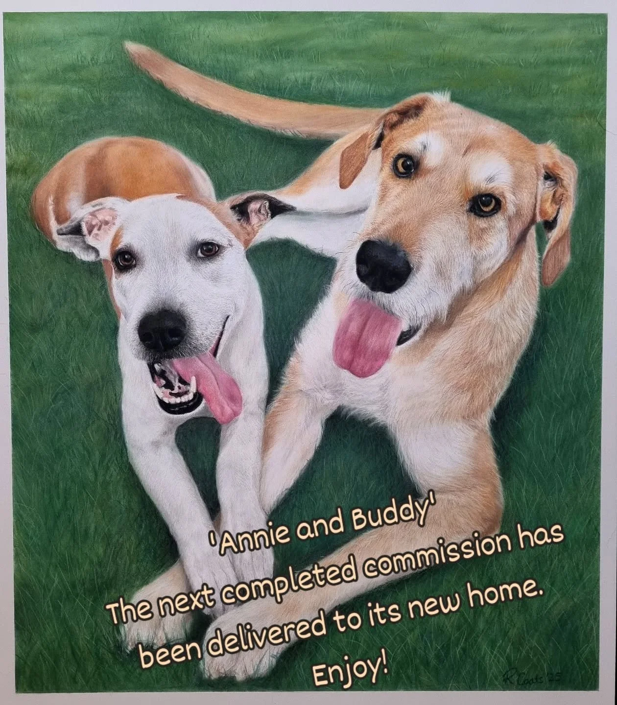 'Annie and Buddy'
What an adorable pair 😍