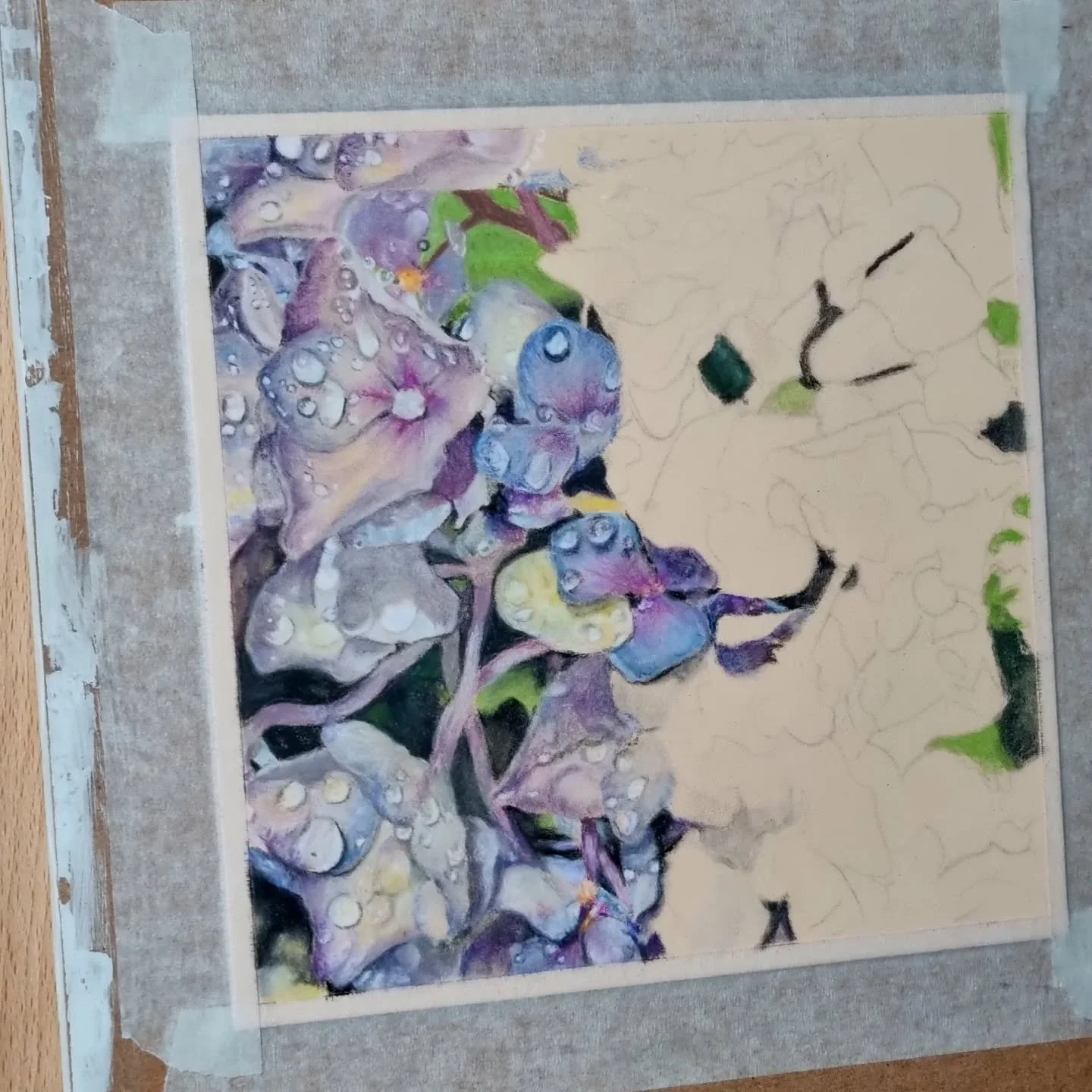 I've decided to go back and finish a piece I started when I was first getting back into art. All the water/dew droplets make it a very fiddly and a long process (probably why I set it aside for so long!), but they do make it a little more interesting