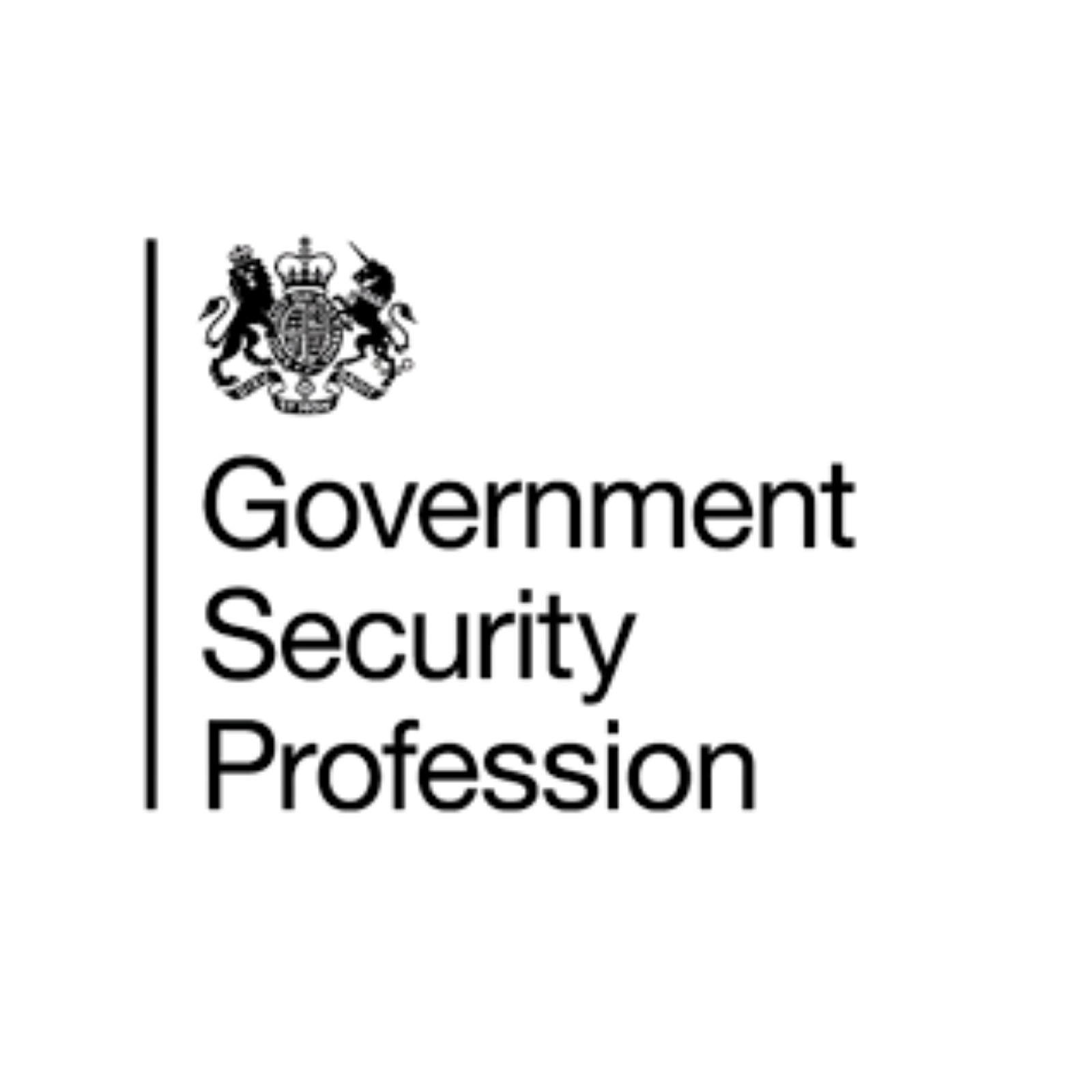 Government Security Profession