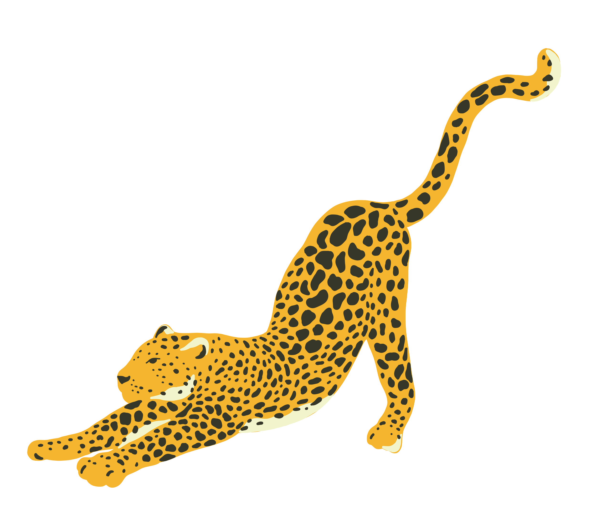 Welcome To The Jungle Soft Play welcome-to-the-jungle-soft-play