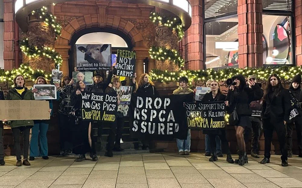 Campaigners holding a Drop RSPCA Assured banner outside a historic building