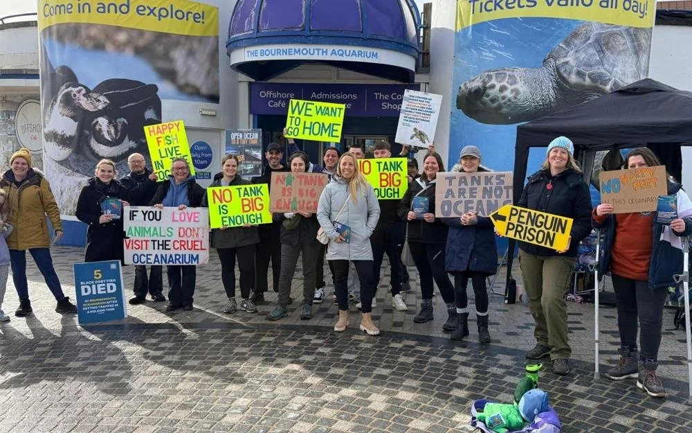 Dorset Animal Action protesters with placards outside the Bournemouth Oceanarium