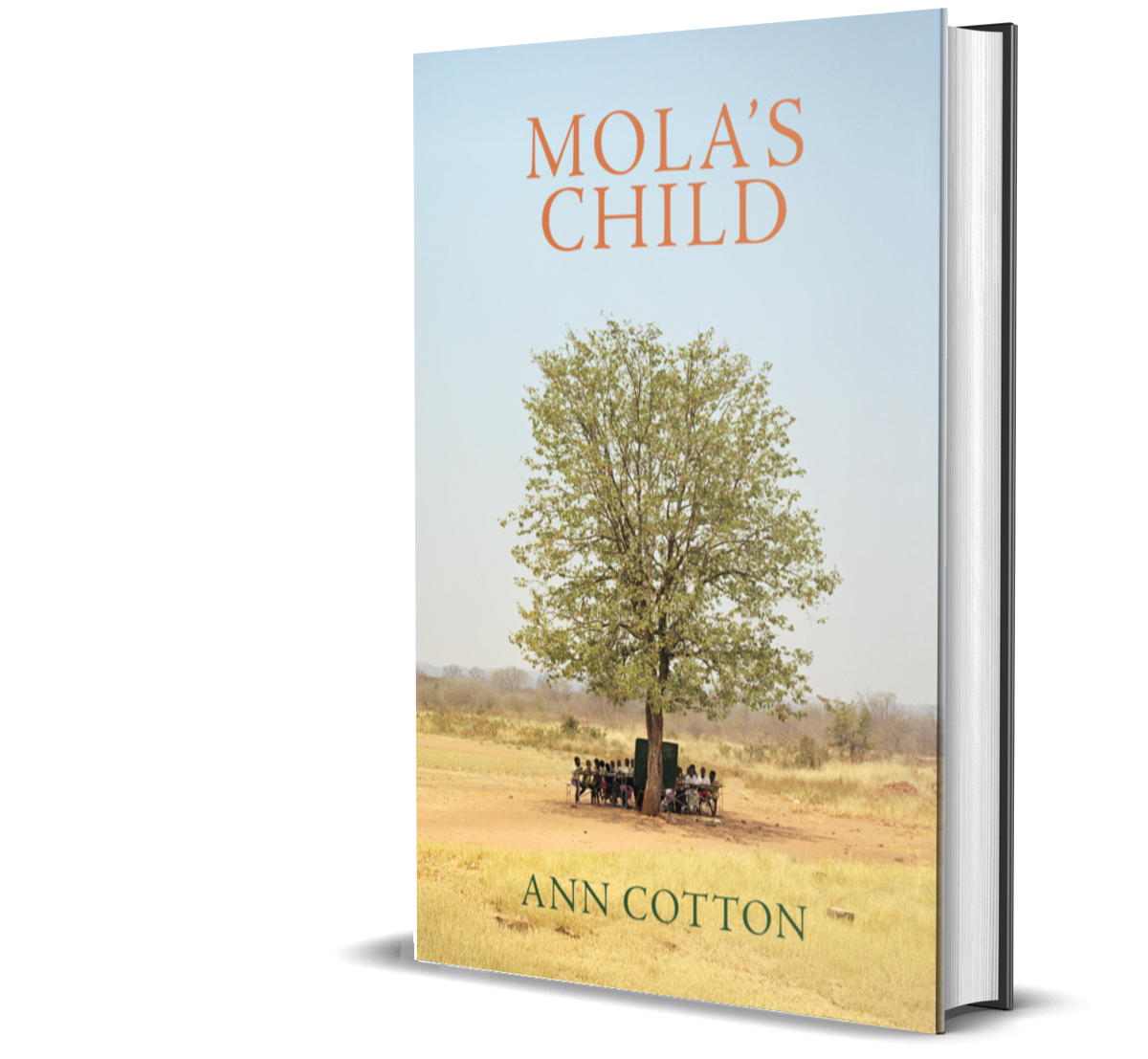 Cover of a book titled "Mola's Child" by Ann Cotton, featuring a large tree with people sitting underneath in a grassy field.