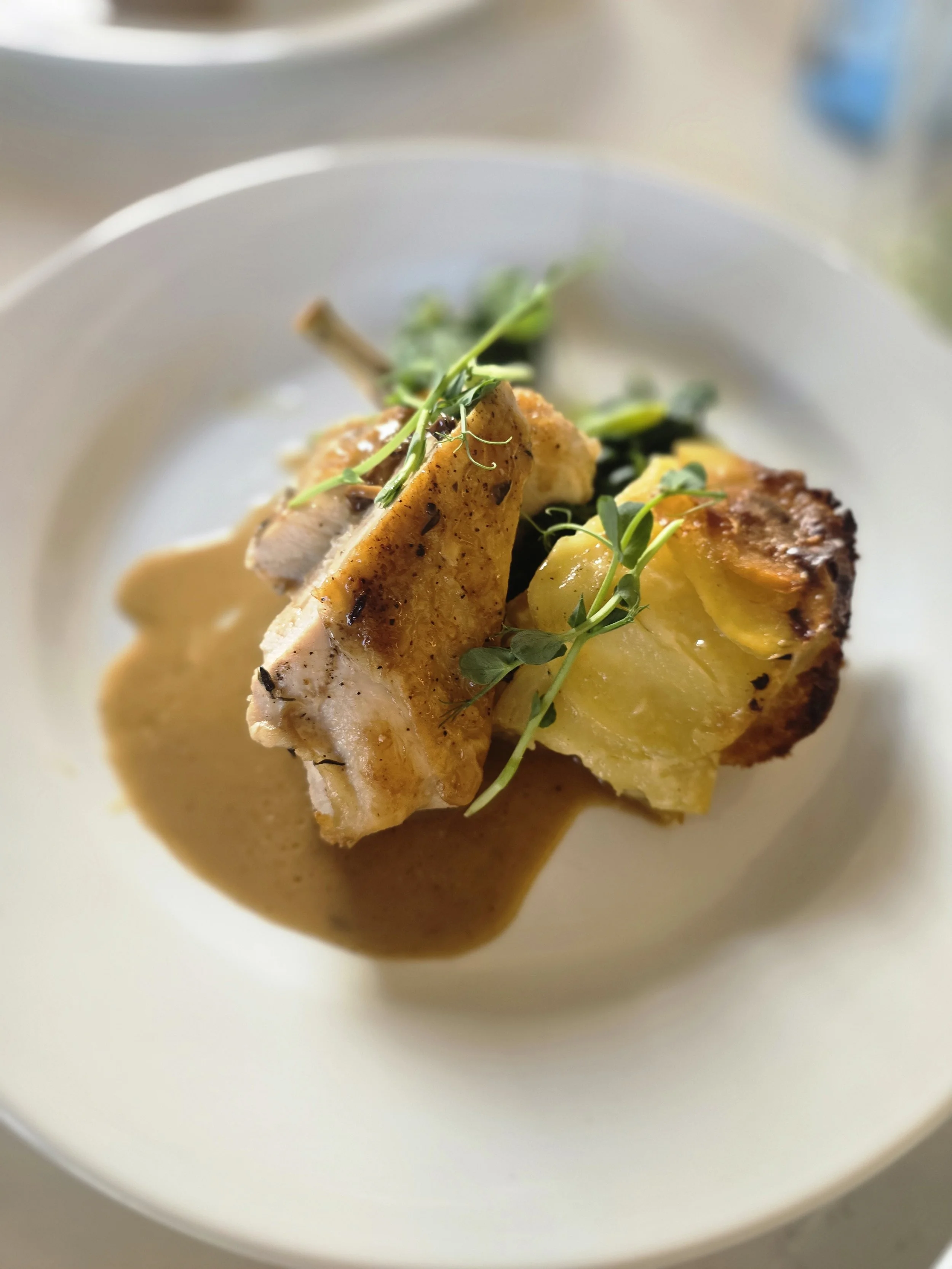 Confit chicken supreme with morel and cider sauce & dauphinoise 