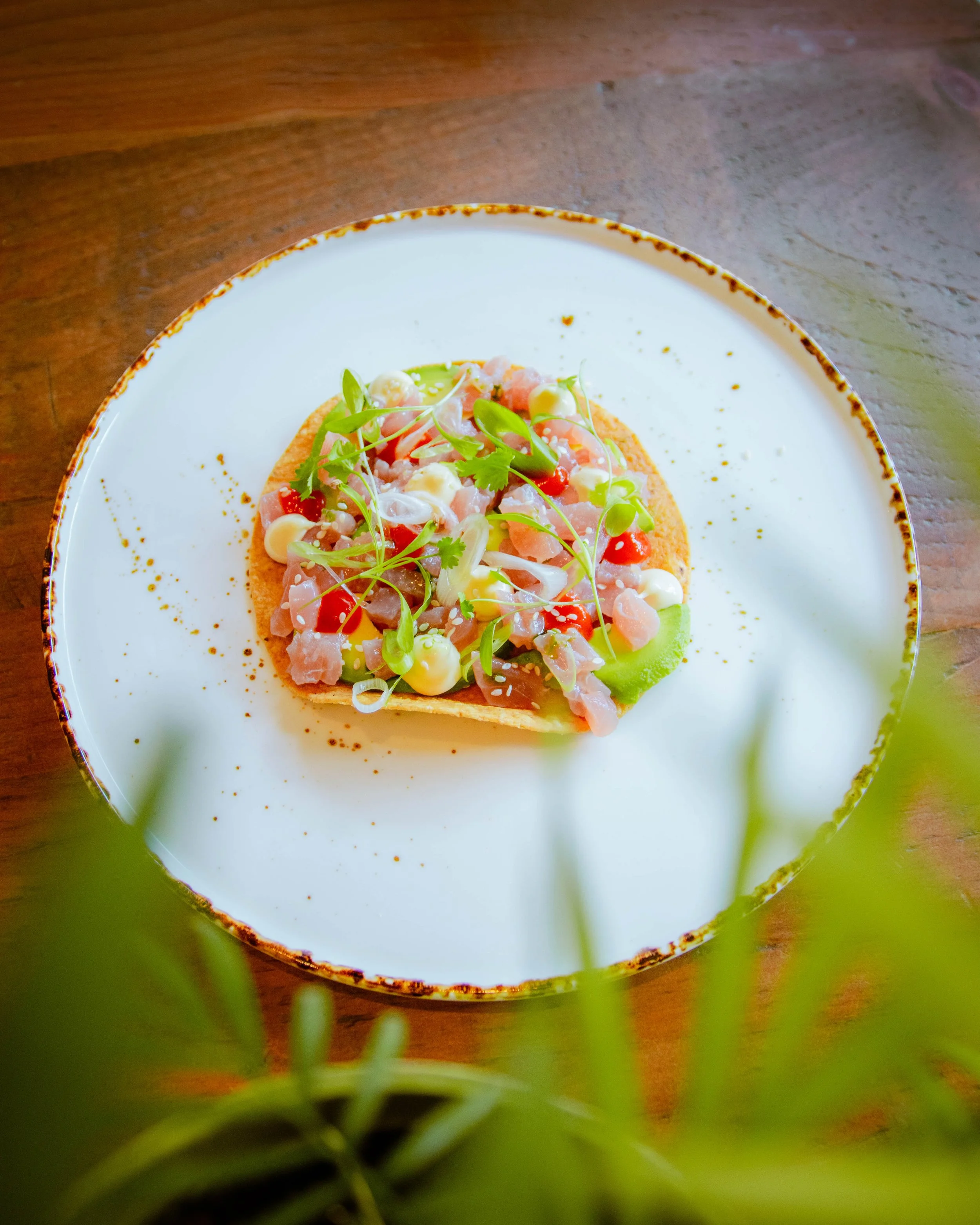 Lowes food compressed-19.jpg