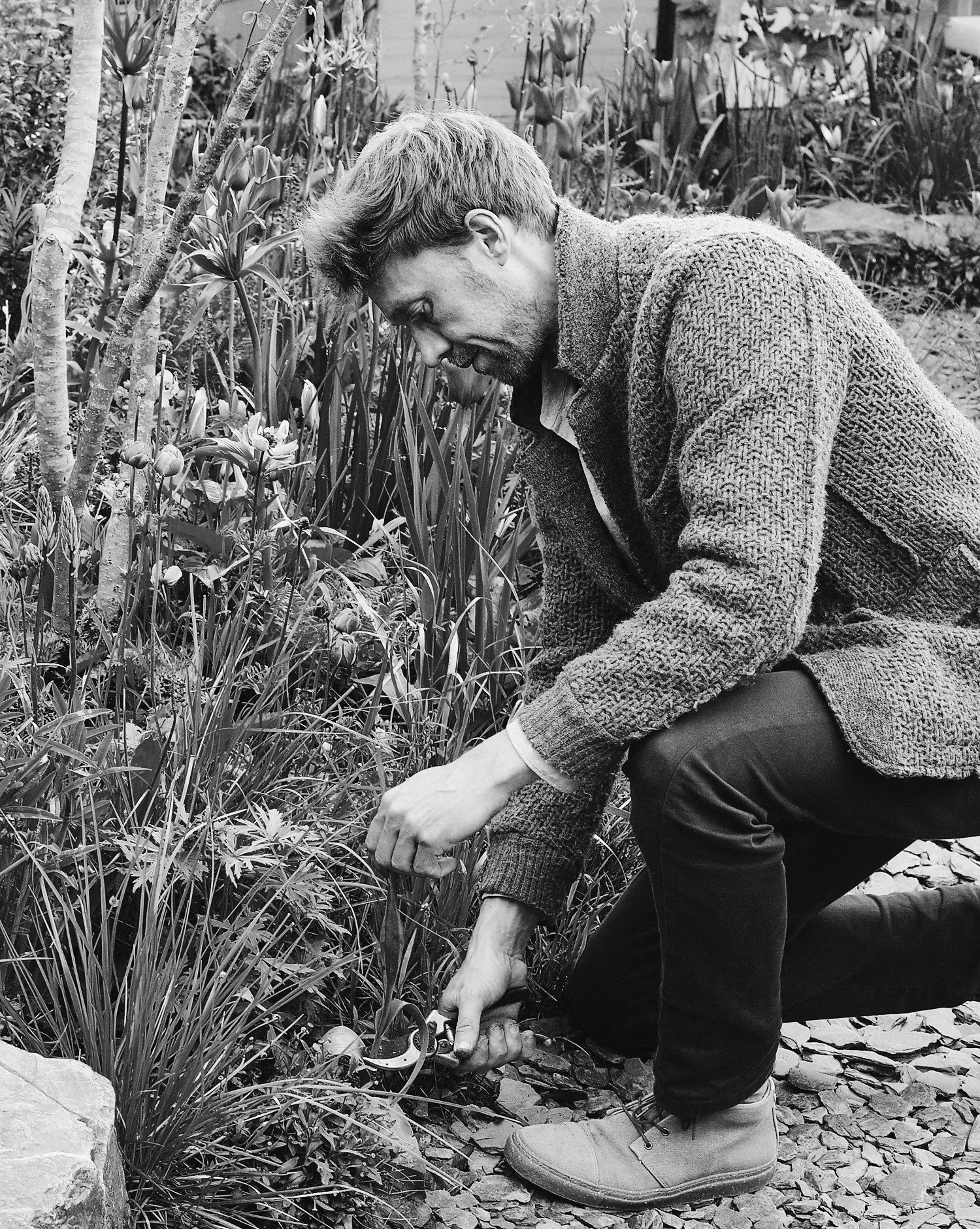 sietske de vries - eigen tuin-VSCO.jpeg