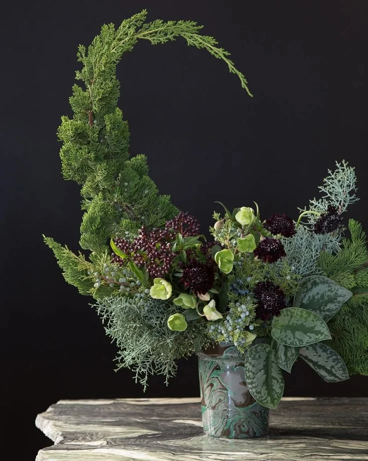 12 Best Winter Flowers &amp; Foliage for Bouquets
