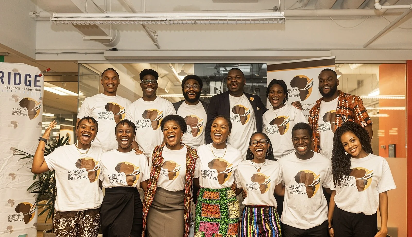 African Impact Initiative