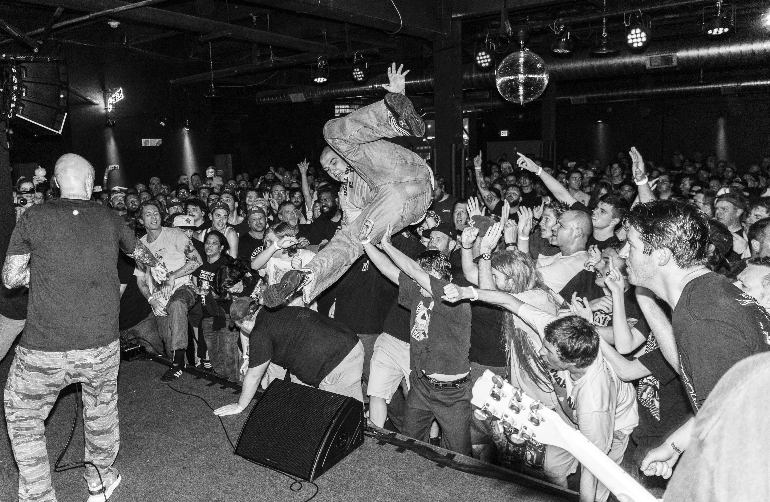 GORILLA BISCUITS 2024
