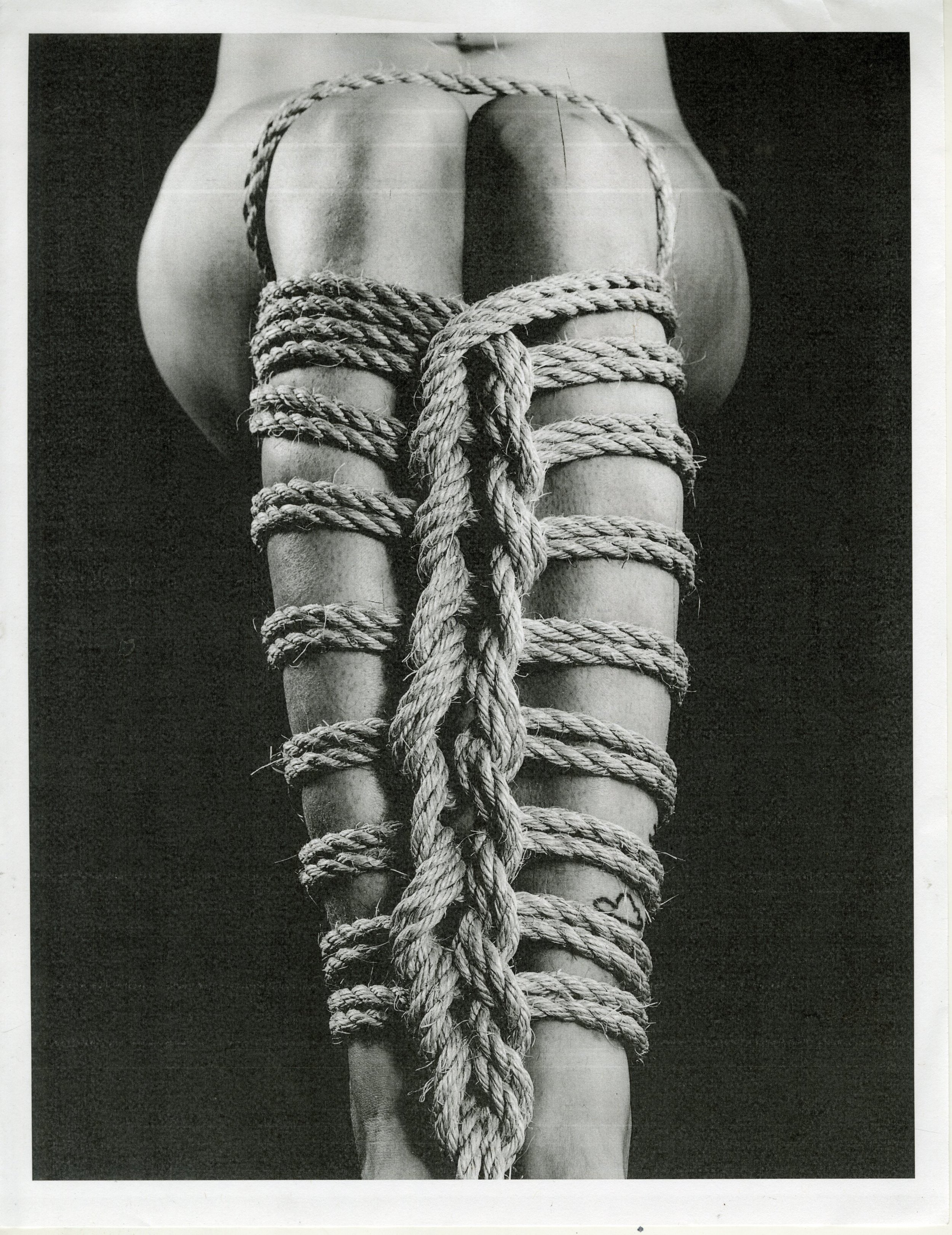 SHIBARI