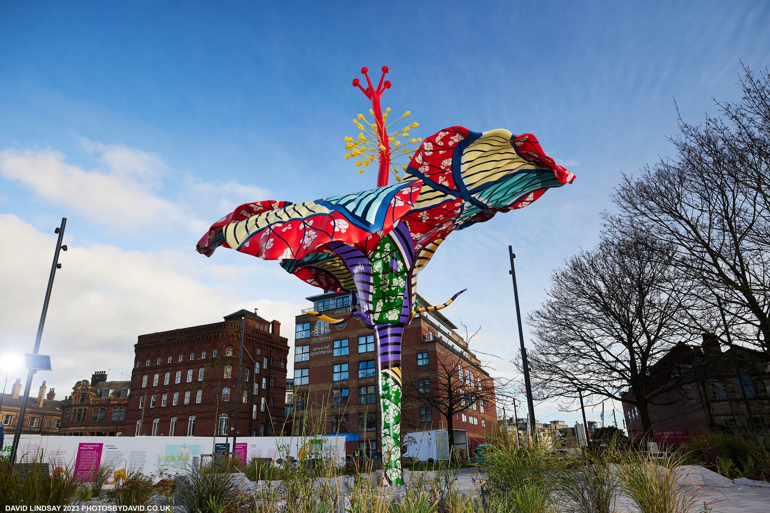 HIBISCUS_LEEDS2023_NOV2023 11 1.jpg