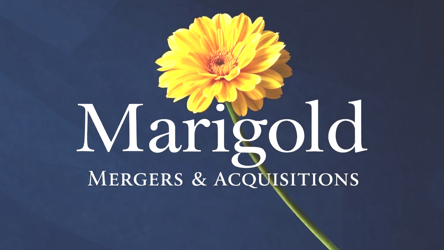 Marigold M&amp;A