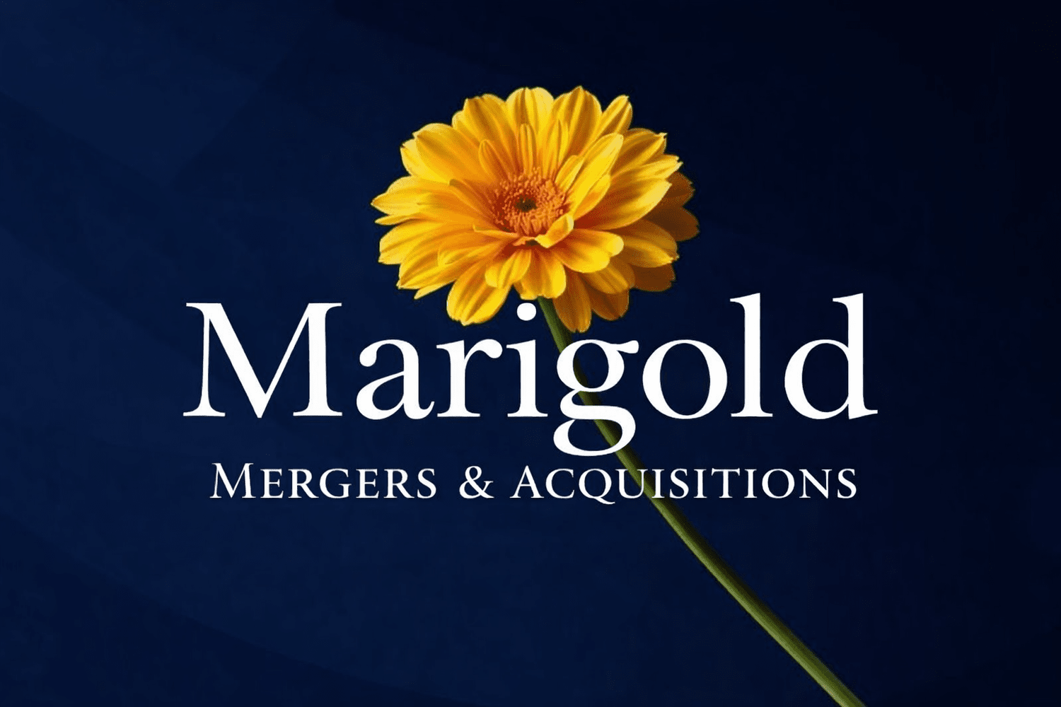 Marigold M&amp;A
