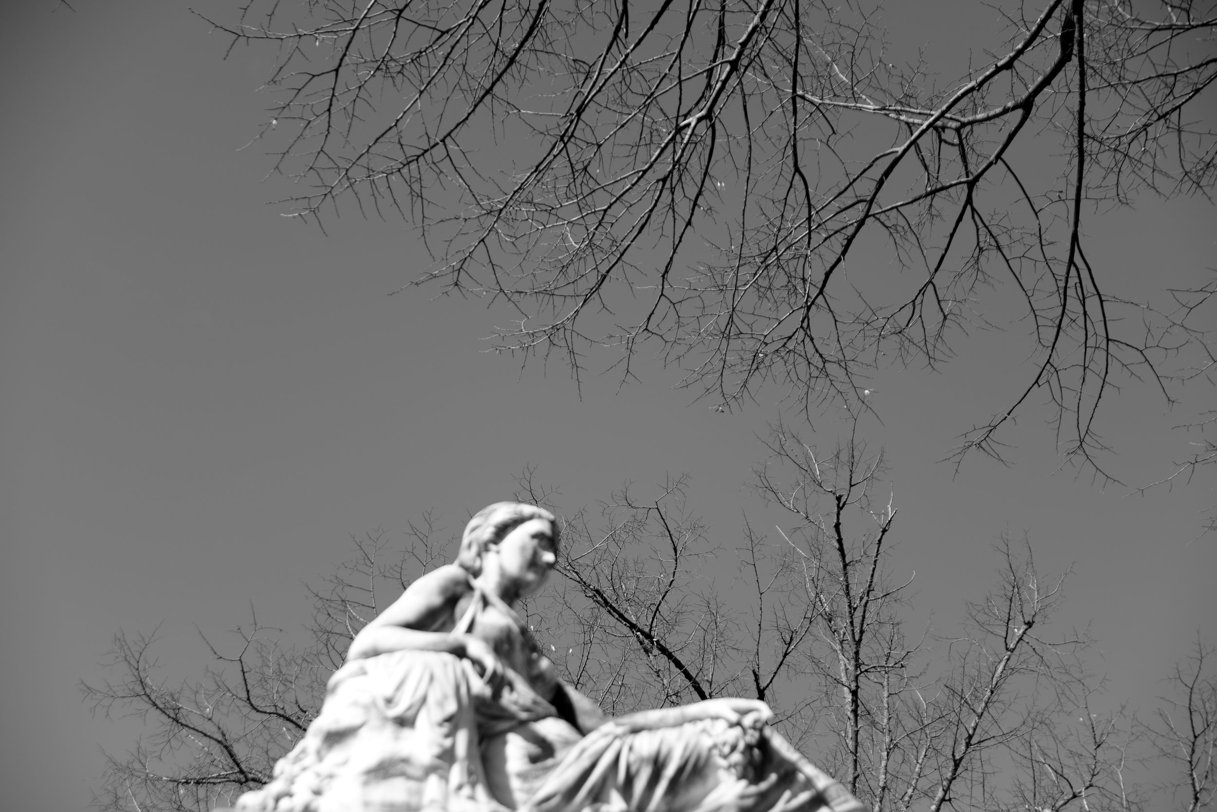 DSC_6873.JPG