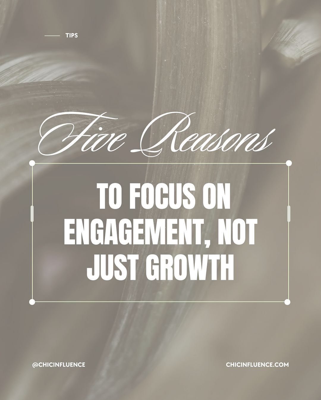 The truth? A huge following means nothing if your audience isn&rsquo;t engaged.

Brands today want creators who spark conversations, build loyalty, and drive action&mdash;not just rack up numbers.

If you&rsquo;ve been stuck chasing follower growth w