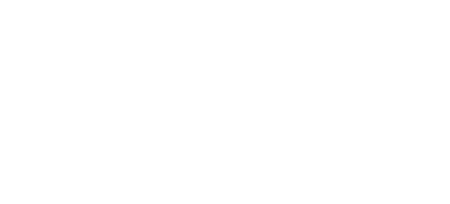 Spot