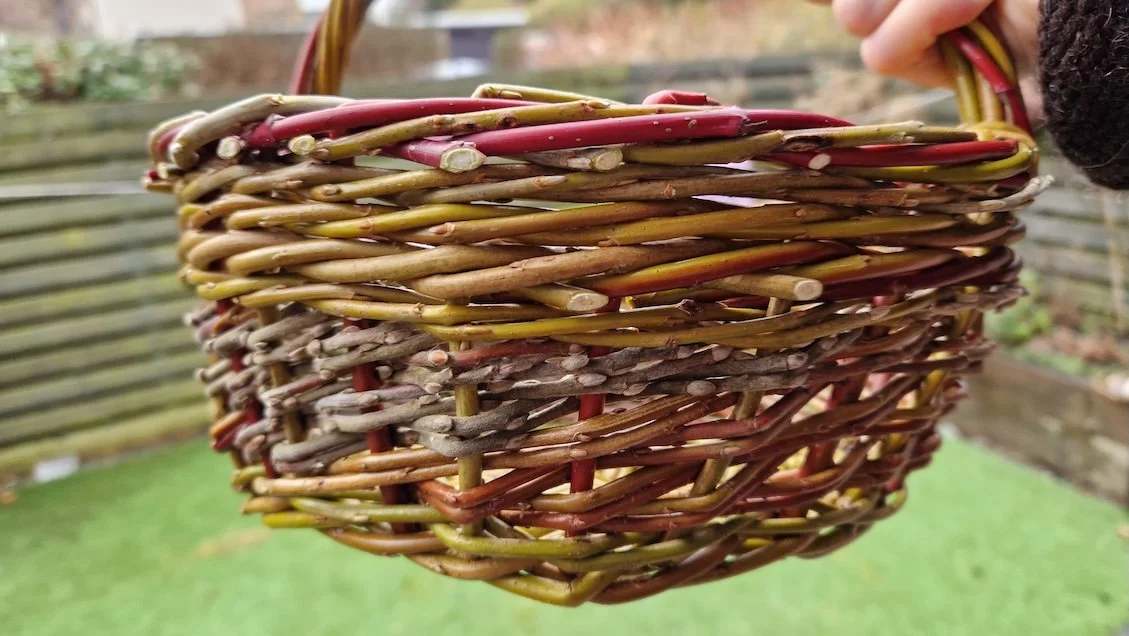 Baskets in willow, ivy and dogwood