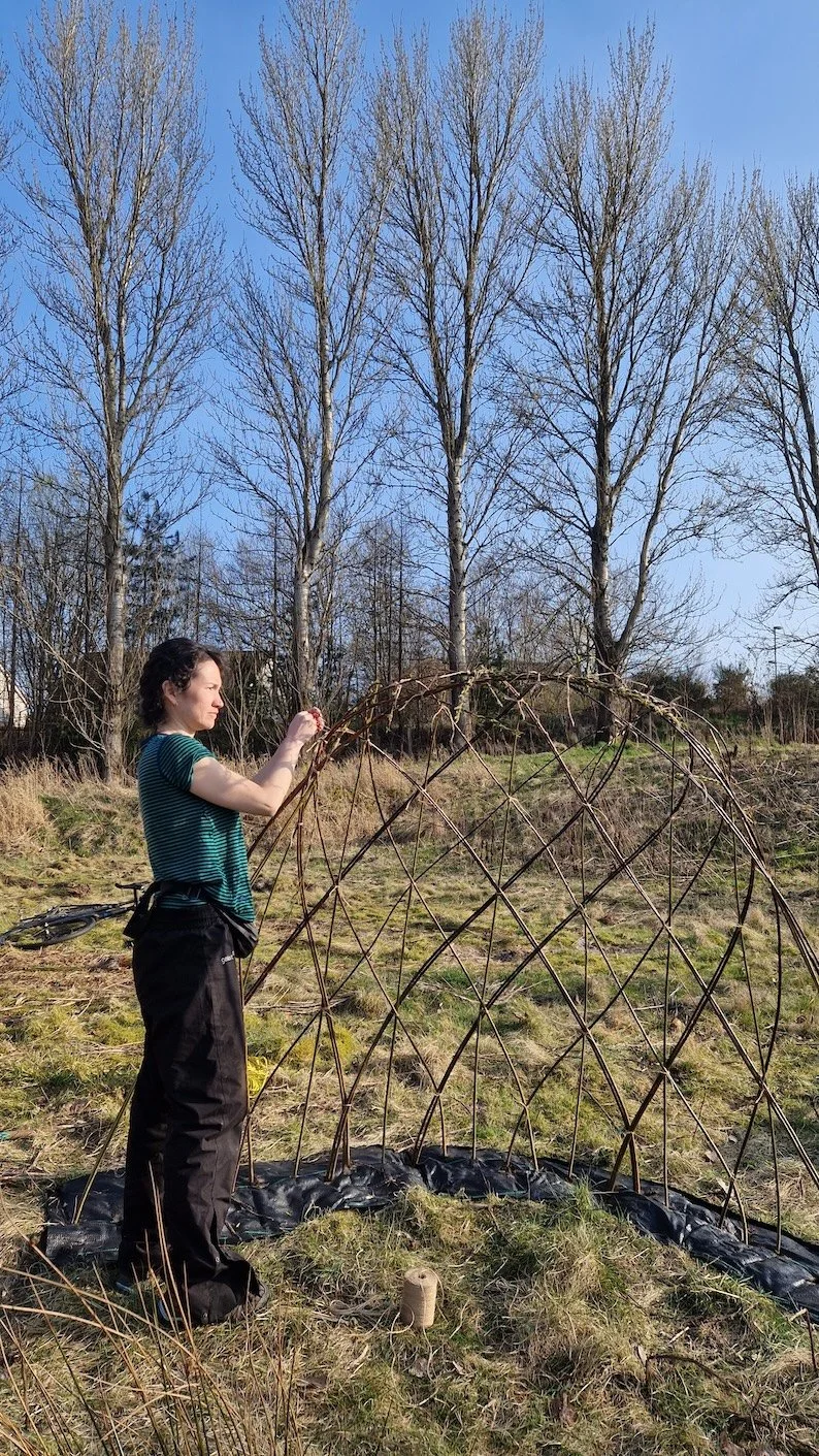 Ruchill’s Willow - a wishing place and a selfie spot