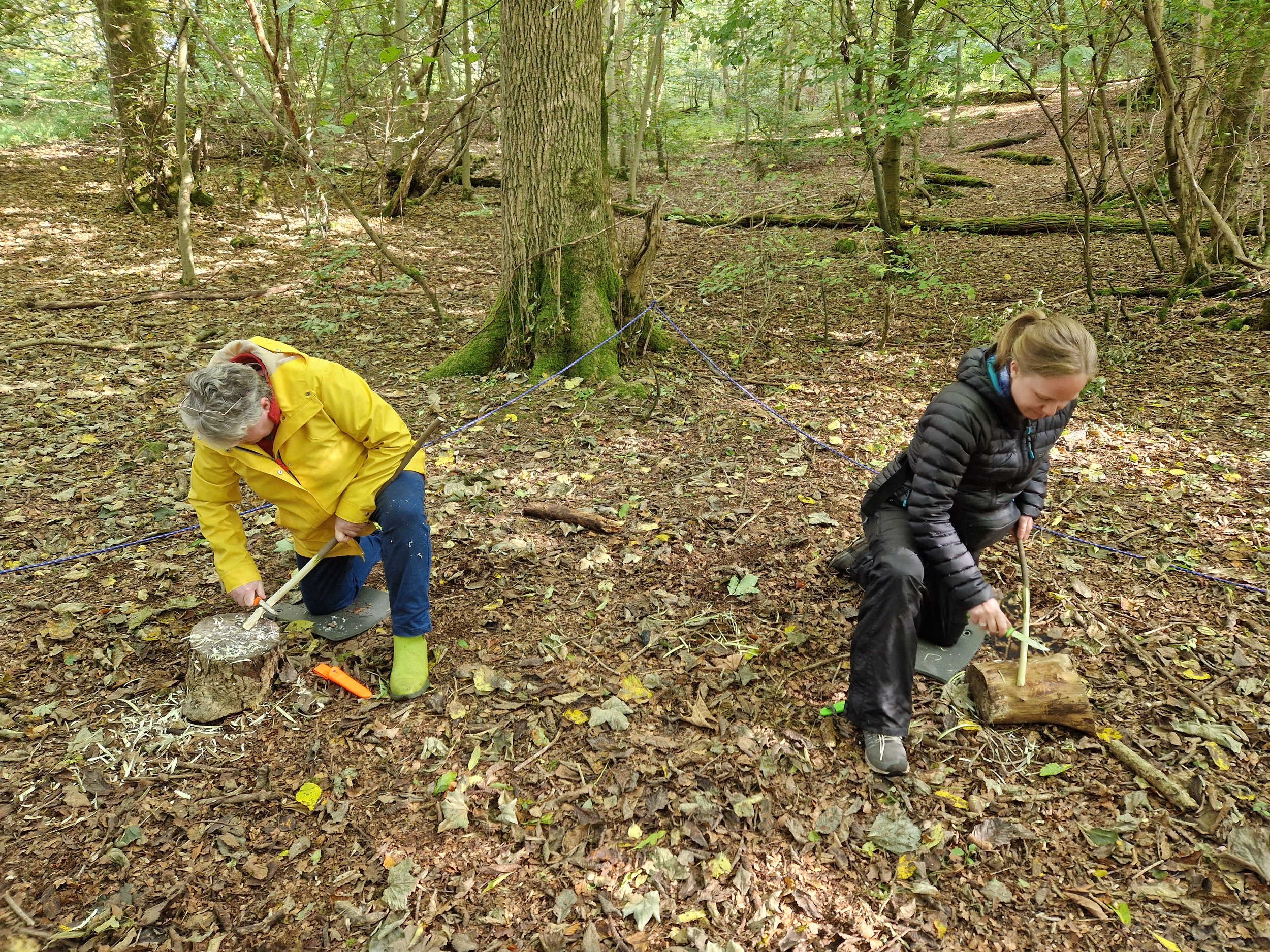 Two children in outdoor clothing, a boy wearing a yellow raincoat and a girl wearing a black jacket, are kneeling on the ground in a wooded area. They appear to be chopping wood or performing some activity related to wood in a forest with leaves on the ground, trees, and natural scenery.