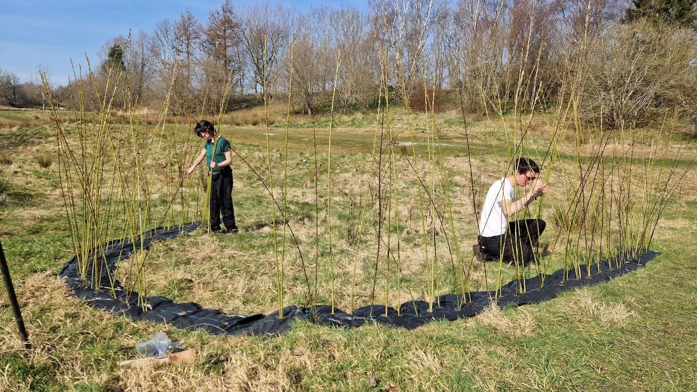 Ruchill GCFN Willow 2.jpg