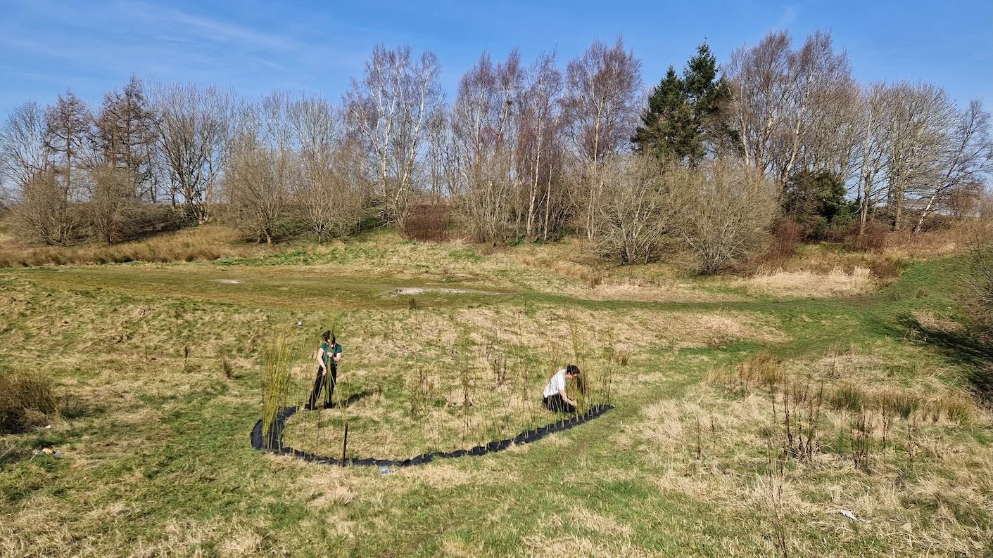 Ruchill GCFN Willow 1.jpg