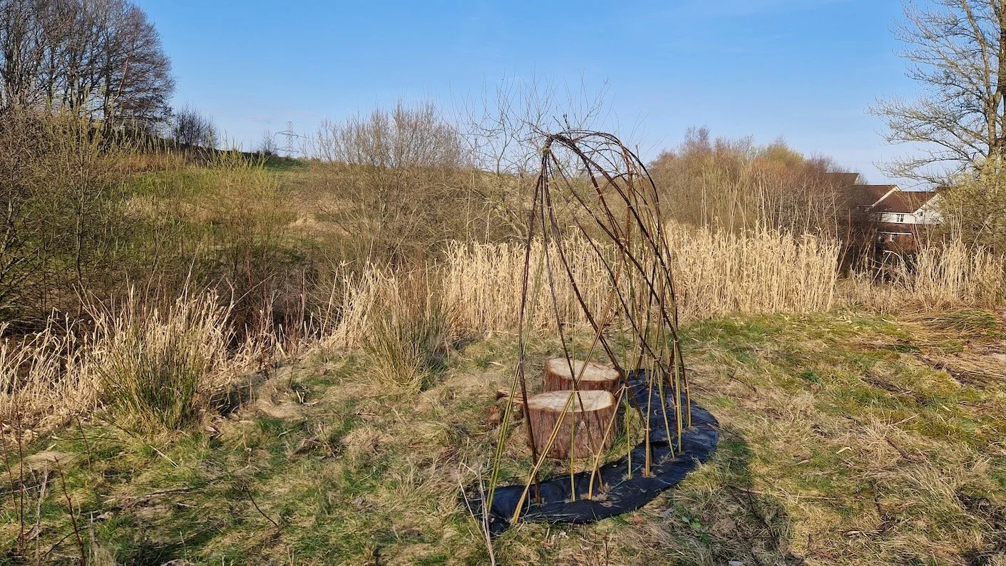 Ruchill GCFN Willow 14.jpg
