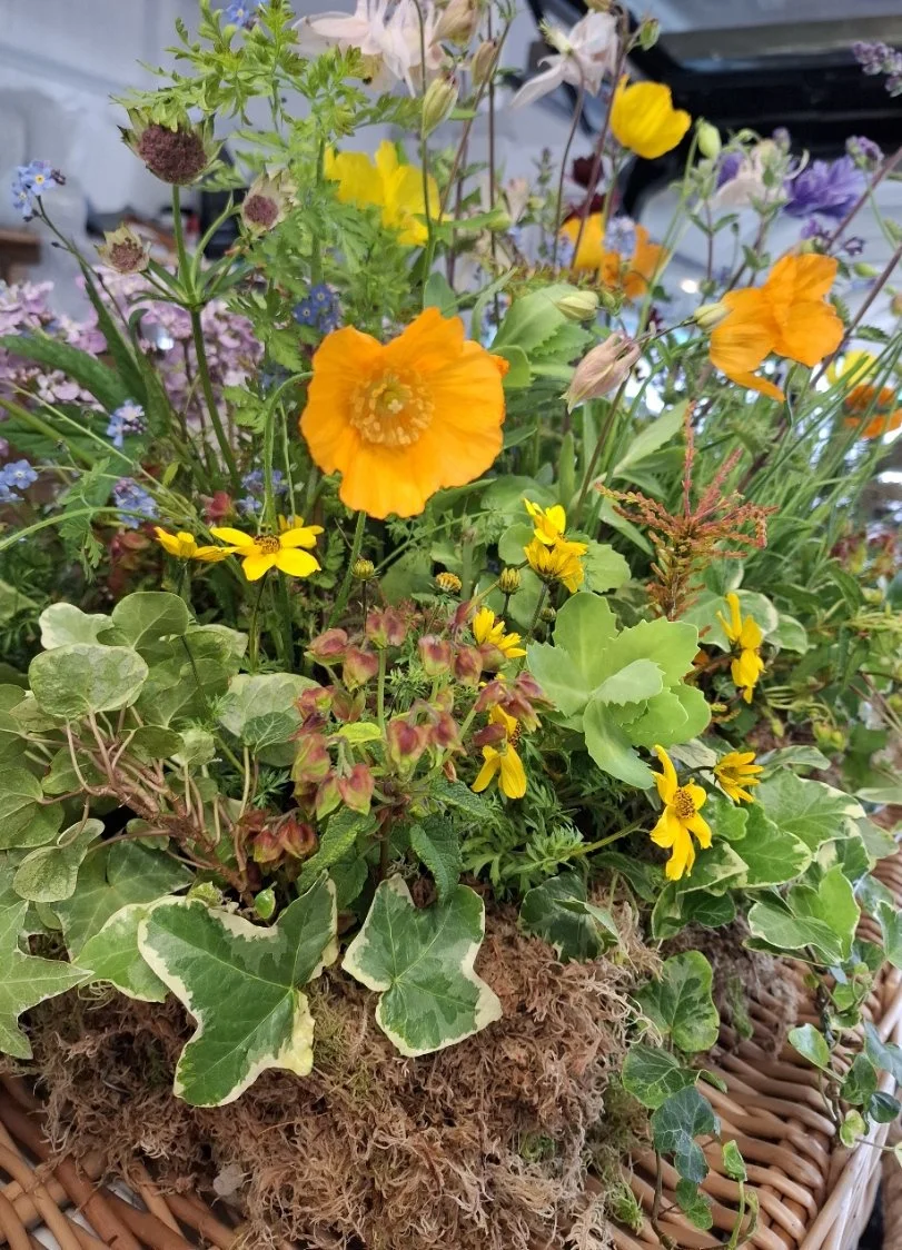 sharing garden.jpg