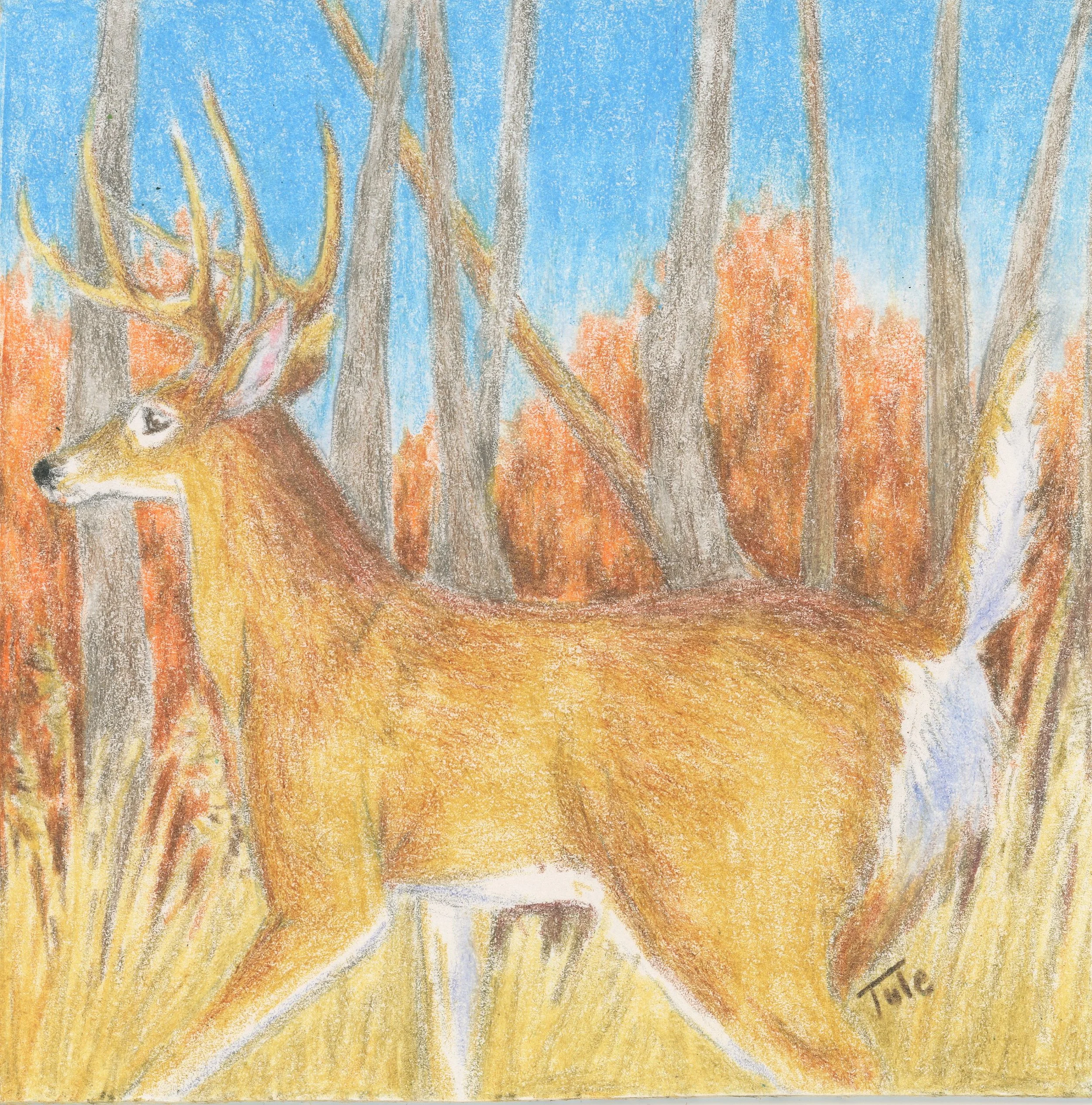 Autumn Buck