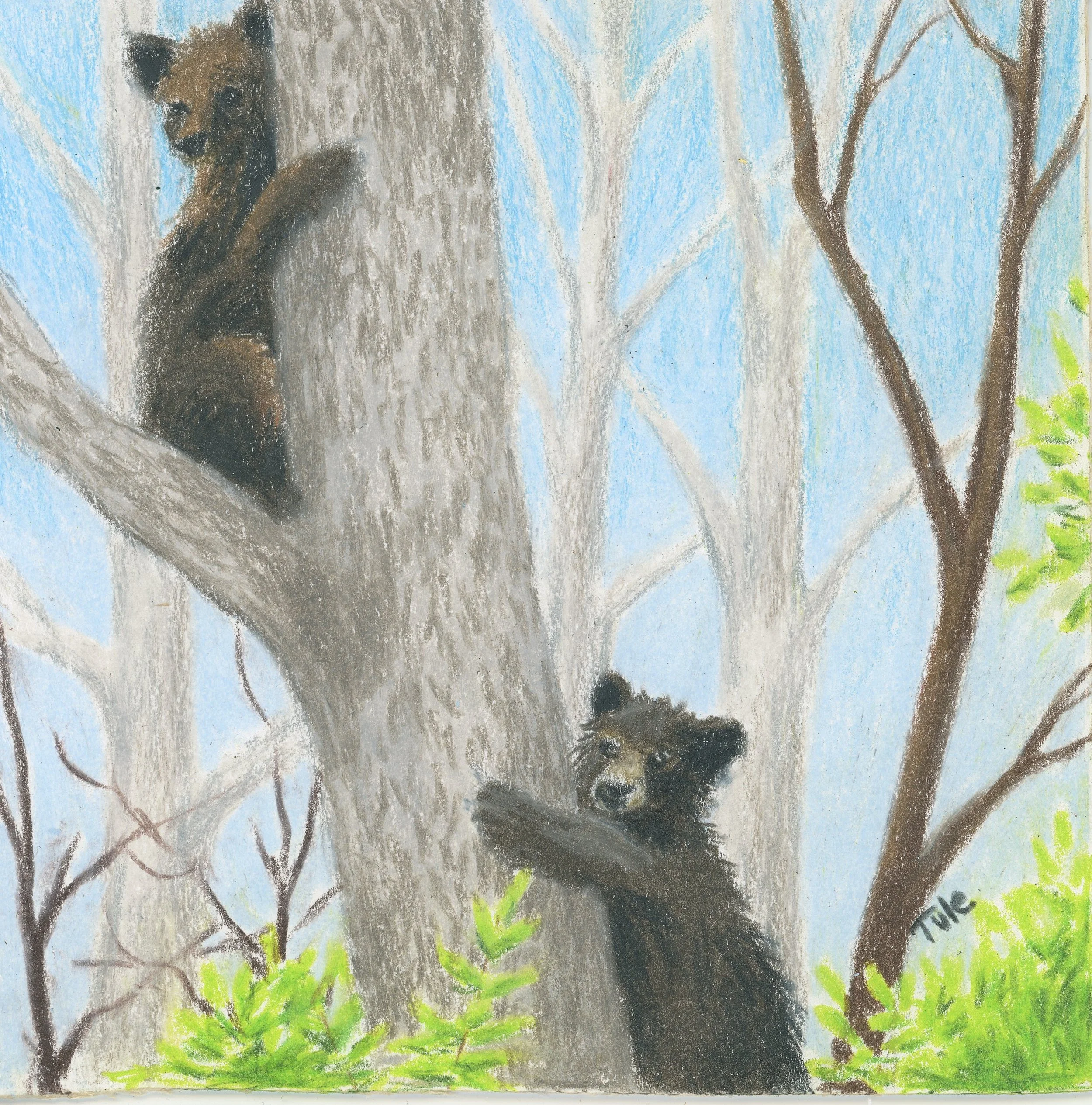 Climbing Buddies.jpg