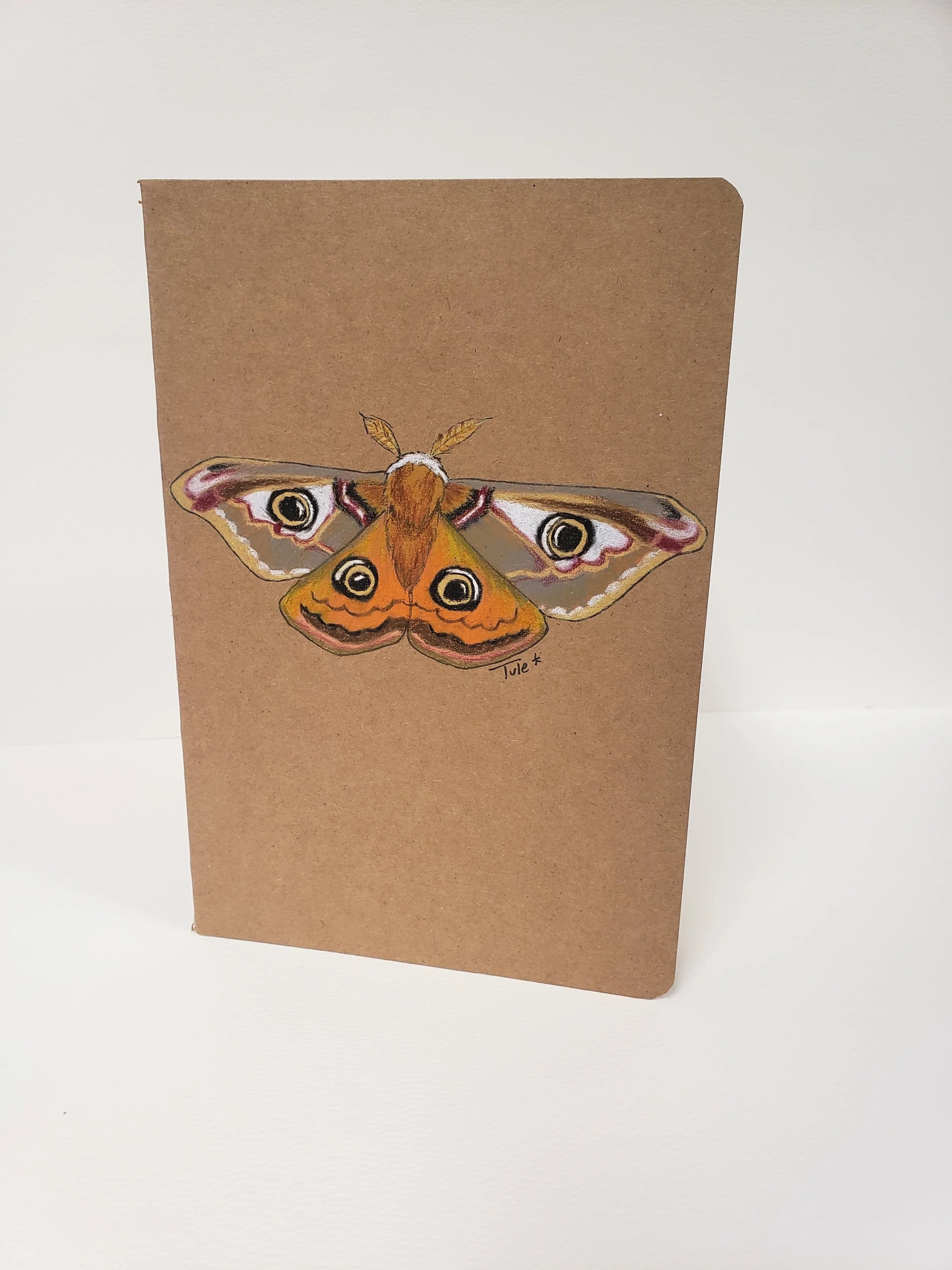 Emperor Moth Journal